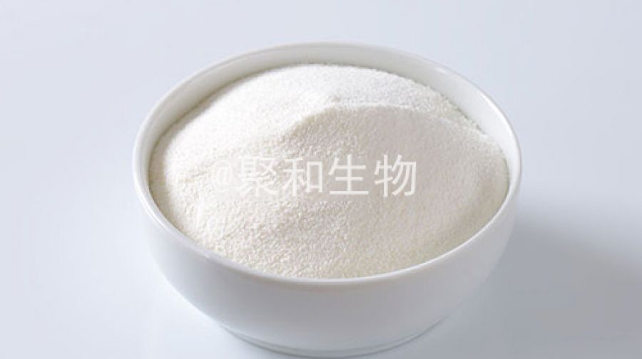 1660787065131337pE21.jpg 未標題-1.jpg